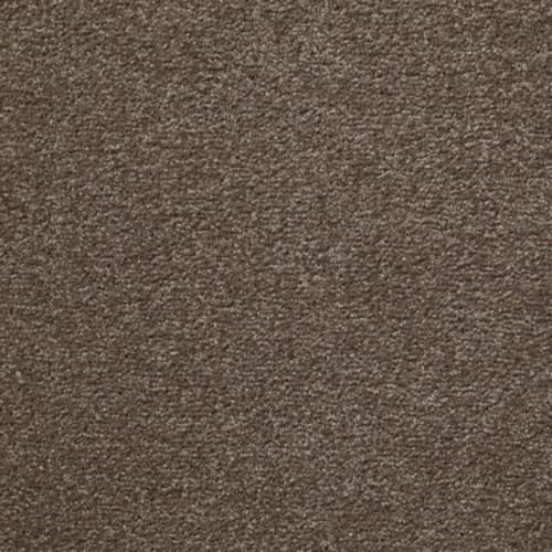 Something Sweet - Brushed Suede