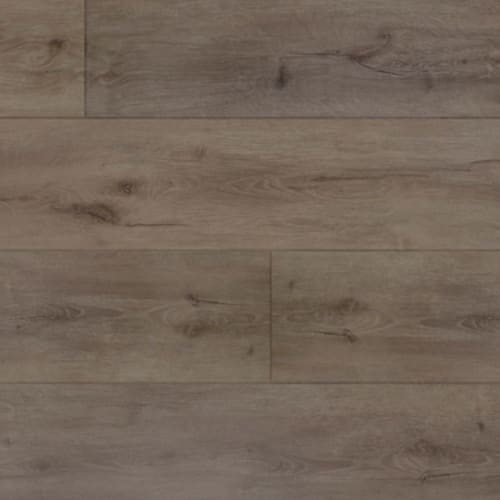 Expedition - Pecan