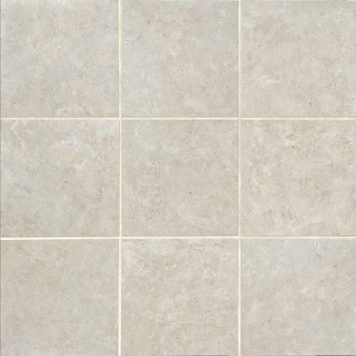 Florentine - Argento 24X24