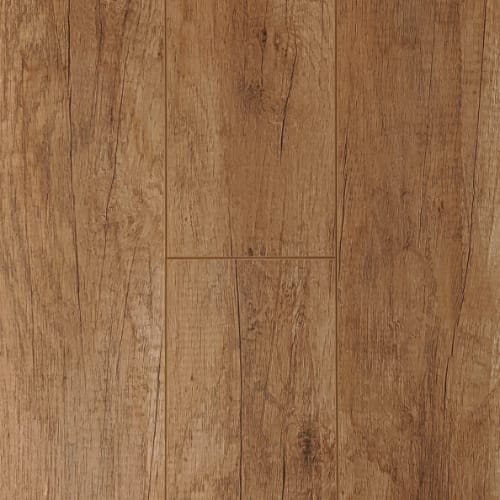 Classic Collection - Fawn