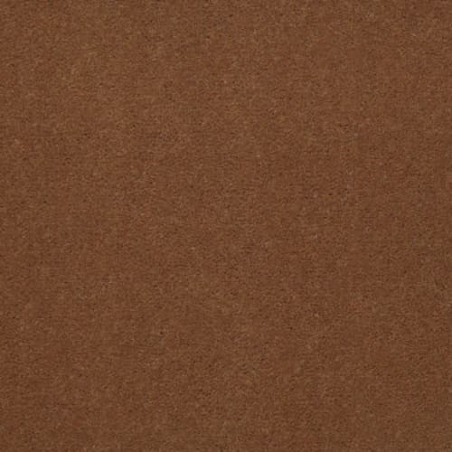 Baytowne Iii 36 - Toast