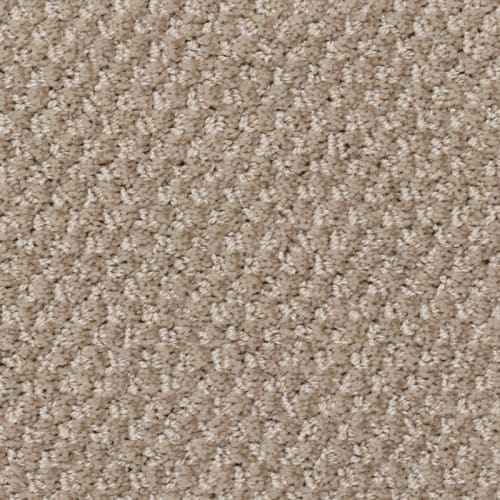 Tryesse Pro - Souvenir From France - Pale F.Pale Mocha