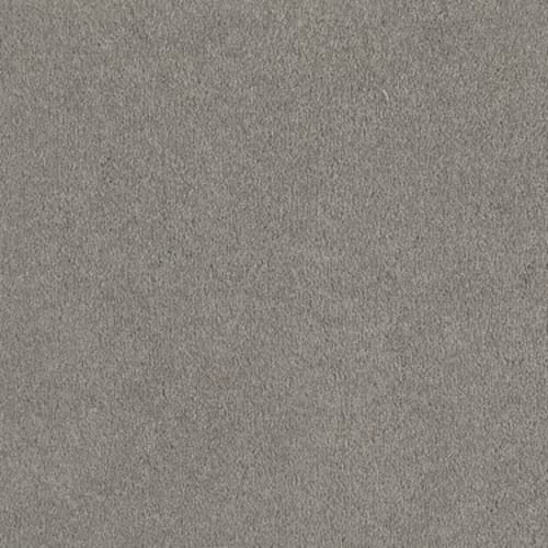 Sandy Hollow I 12' - Silver Charm