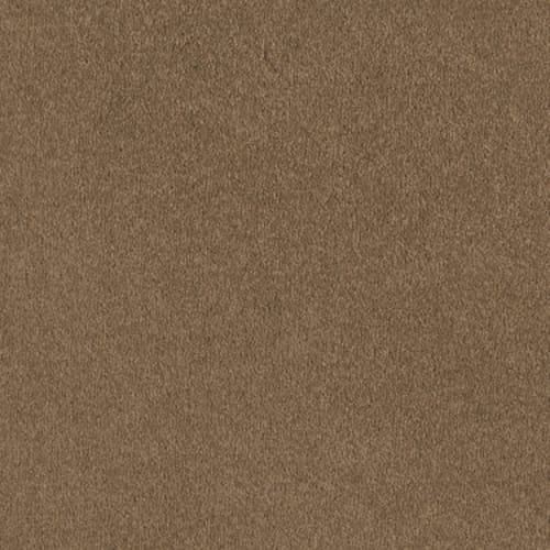 Sandy Hollow I 12' - Peanut Brittle