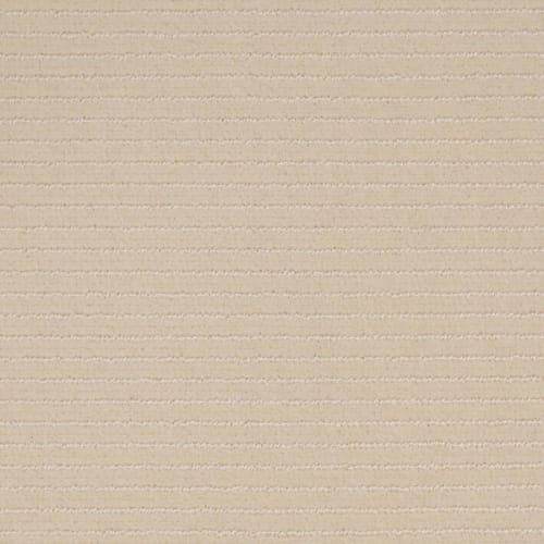 Shimmer - Lace