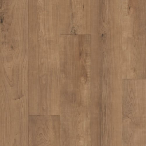 Restoration Collection - Harmony - Shitake