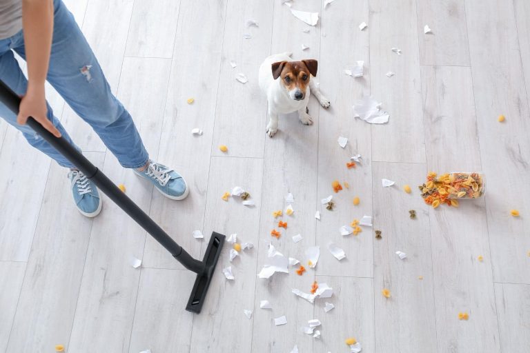 The Ultimate Guide to Dog-Friendly Flooring