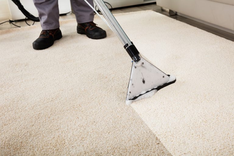The Ultimate DIY Guide to Cleaning Area Rugs Yourself