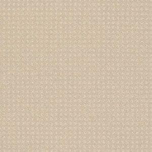 #sku_00101_E0404