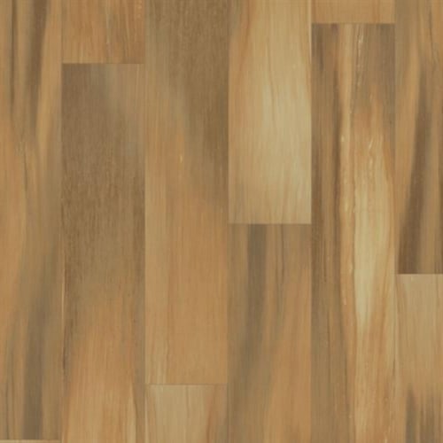 Evolution Plank - Genealogy