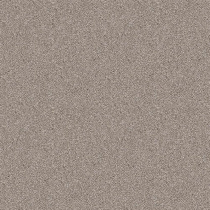 Cabana Bay Tonal - Ecru