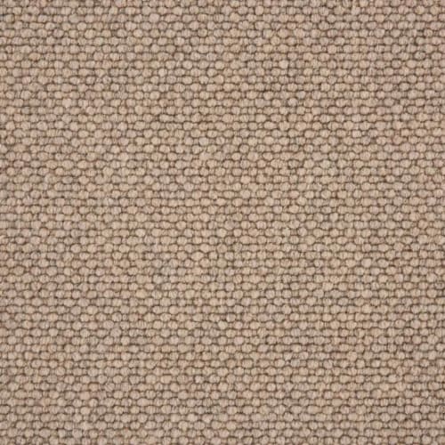 Gobi Berber - Priarie