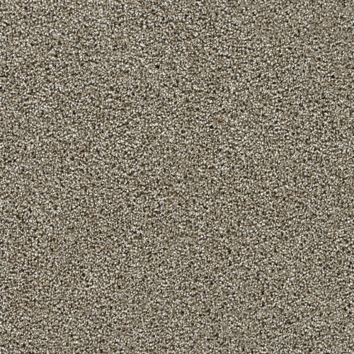 Captivating Ii - Rich Walnut