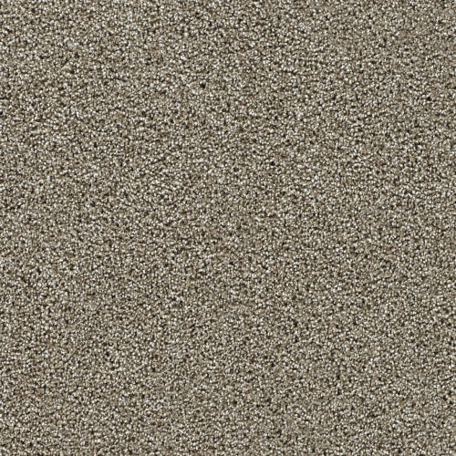 Captivating I - Rich Walnut