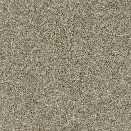 Acclaim - Rhinestone