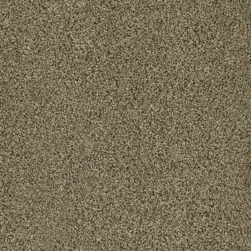 Acclaim - Island Spice