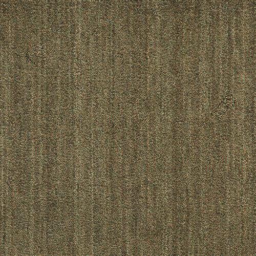 Grand Velvet - Pt99 Olive