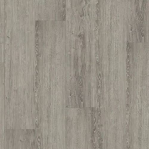 Therma - Ainsworth