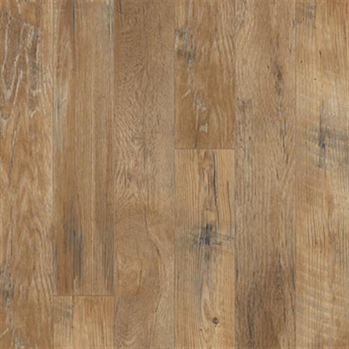 Restoration Collection - Historic Oak - Ash
