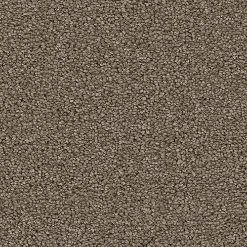 Cape Cod - Cocoa