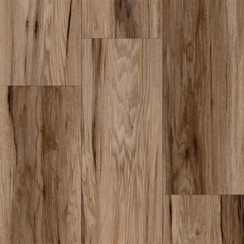 Progen - Spicebark Hickory Fumed