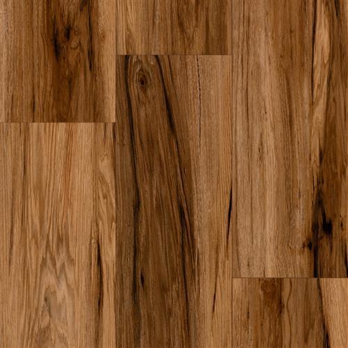 Progen - Spicebark Hickory Comino