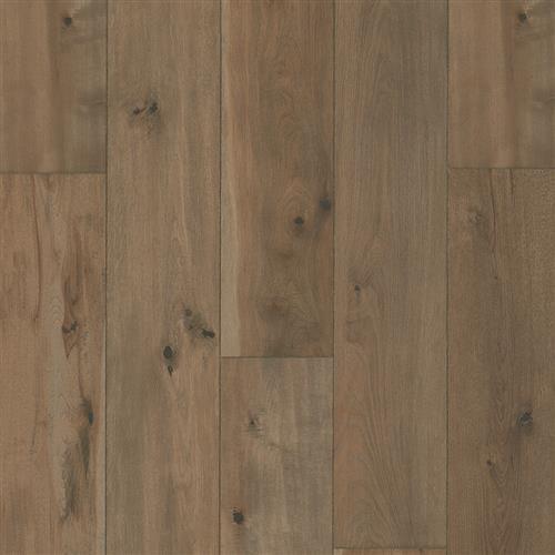 Restoration Collection - Anthology - Tannin