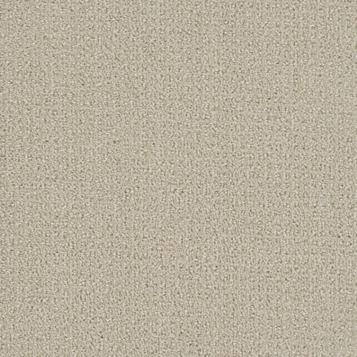 Pinpoint - Champagne Fizz