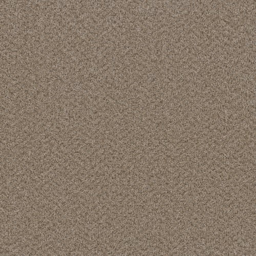 Broadcast - Almond