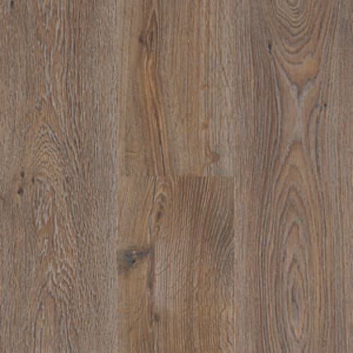 Regatta - Barkwood