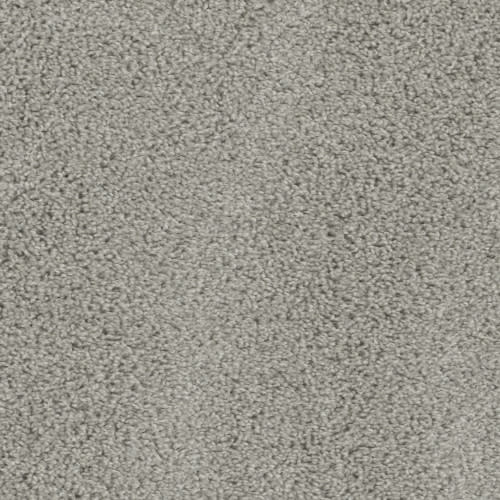 Keystone Plus - Silver Birch