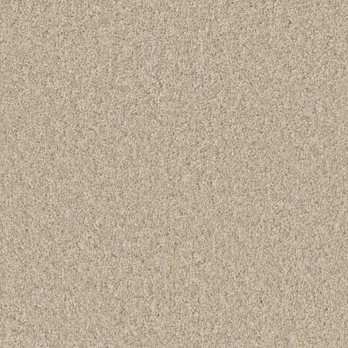 Airwaves - Light Bisque