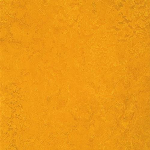 Marmoleum Fresco - Golden Sunset