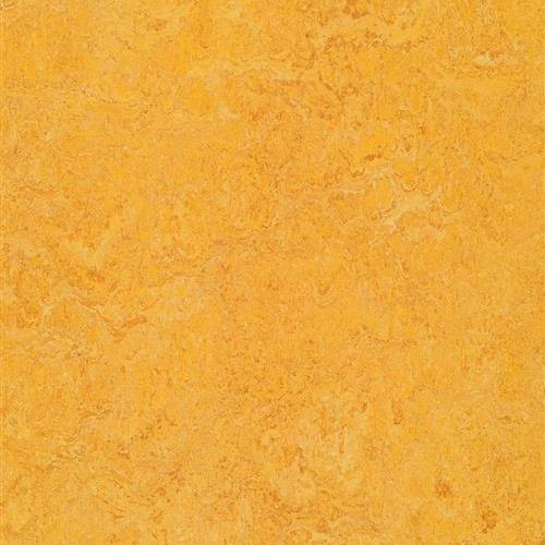 Marmoleum Real - Dandelion