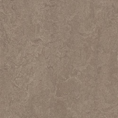 Marmoleum Fresco - Shrike