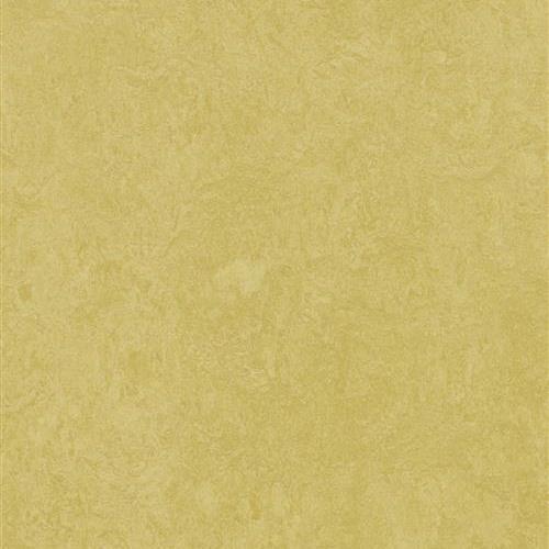 Marmoleum Fresco - Mustard