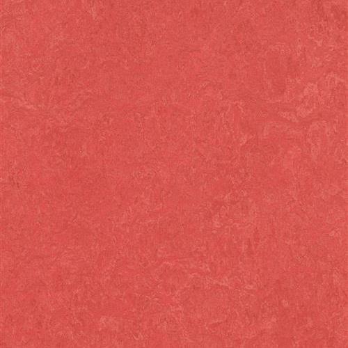 Marmoleum Fresco - Rose