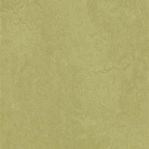 Marmoleum Fresco - Avocado