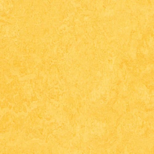 Marmoleum - Cinch Loc Seal - Lemon Zest