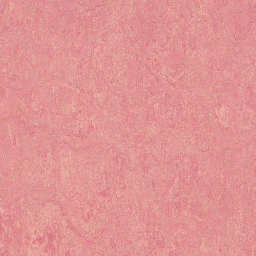Marmoleum - Cinch Loc Seal - Honey Suckle