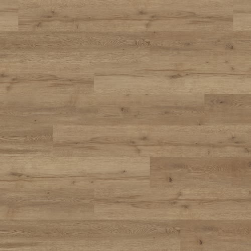 Camaro Loc Pur - Manor Oak