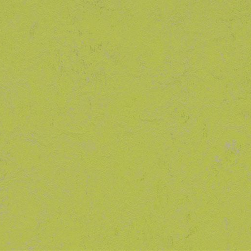 Marmoleum Concrete - Green Glow