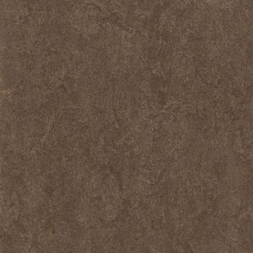 Marmoleum Fresco - Walnut