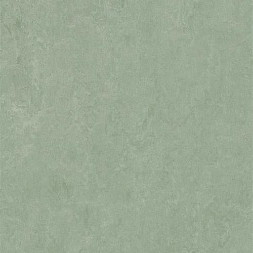 Marmoleum Fresco - Sage