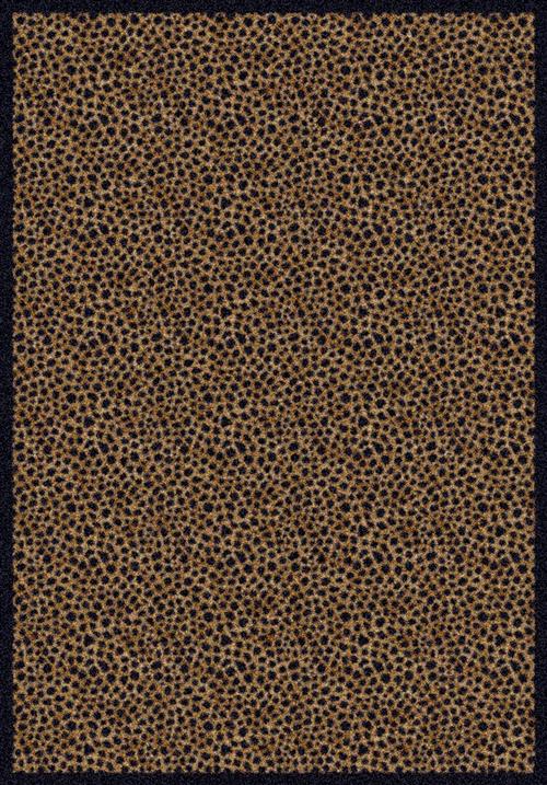 Simaruba-04311 Cheetah