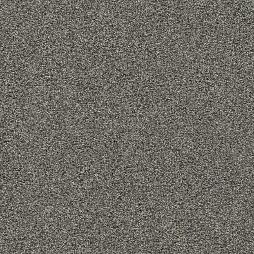 Gold Standard Iii - Graphite