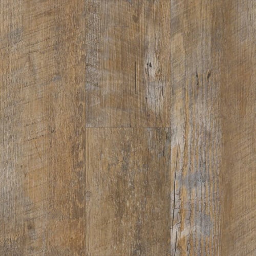 Groundwork 423 - Settlement Pine
