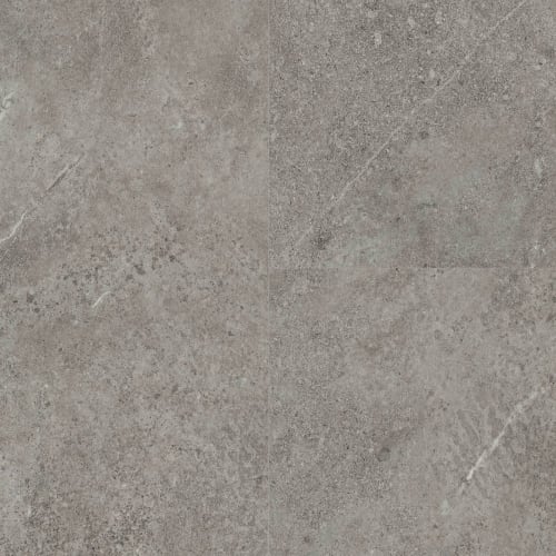 Tuscan Sandstone 446 - Fossil