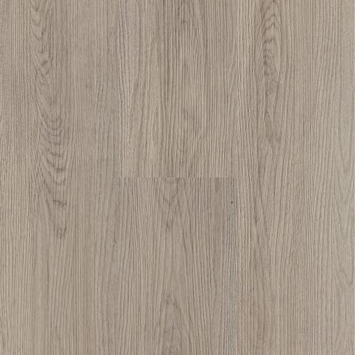 Donnington 450 - Silver Oak
