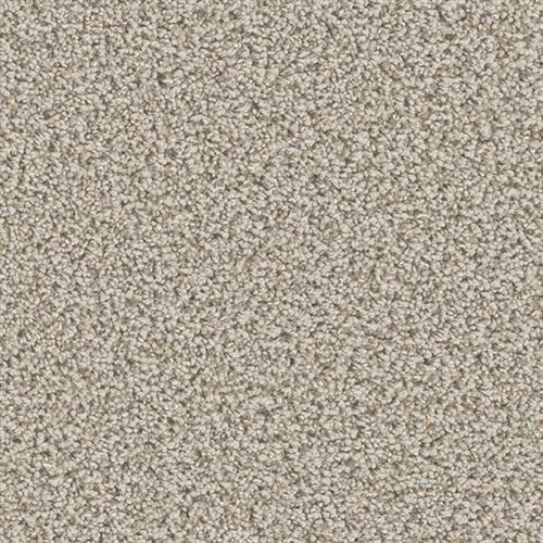 Can'T Miss - Stucco